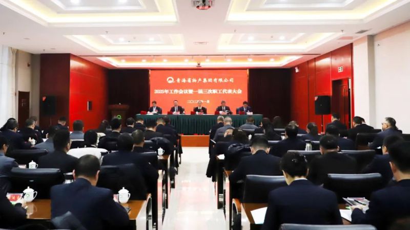 堅(jiān)定信心促發(fā)展 實(shí)干爭(zhēng)先攀新高&mdash;&mdash;省物產(chǎn)集團(tuán)2025年工作會(huì)議暨一屆三次職代會(huì)勝利召開(kāi)
