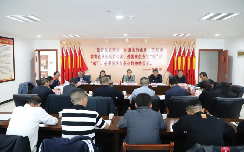 集團(tuán)召開安全生產(chǎn)重大隱患專項(xiàng)排查整治2023行動(dòng)專題會