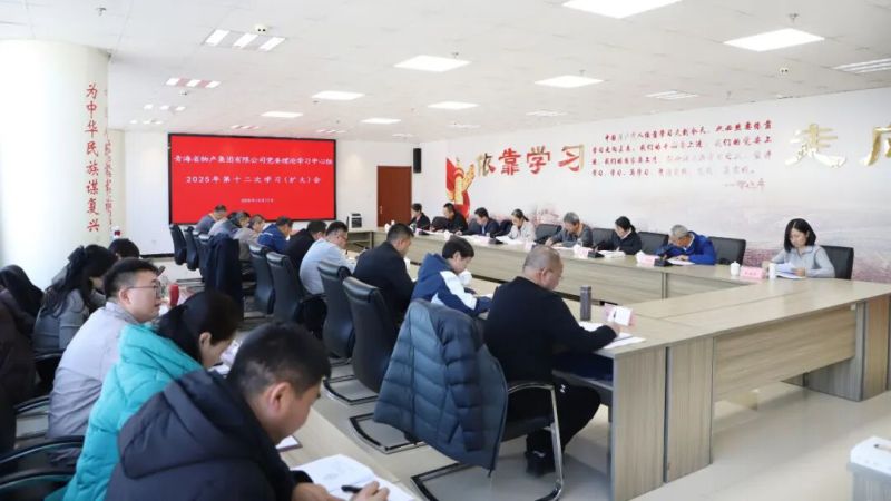 集團(tuán)黨委理論學(xué)習(xí)中心組召開2025年第十二次學(xué)習(xí)（擴(kuò)大）會
