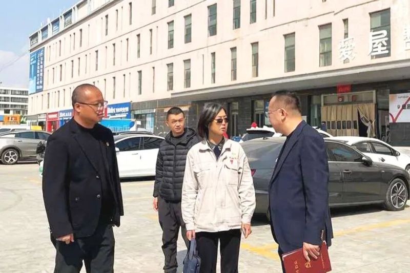 集團黨委書記、董事長劉玲赴現(xiàn)代物流公司調研