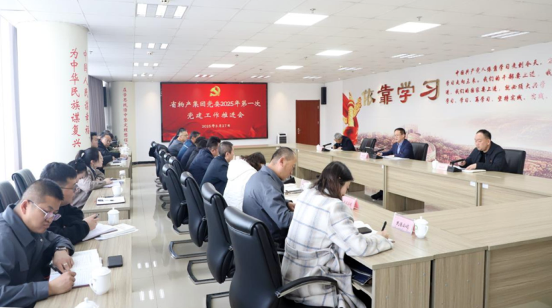 集團(tuán)黨委召開2025年一季度黨建工作推進(jìn)會