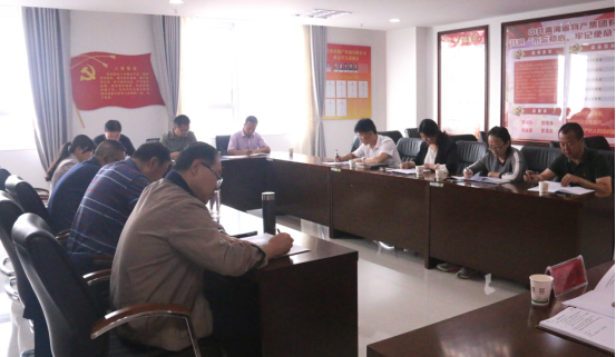 集團(tuán)機關(guān)黨支部召開民主生活會暨組織生活會